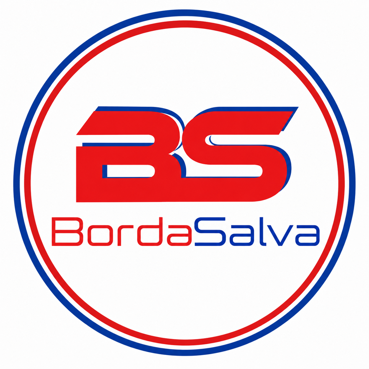 BordaSalva logo